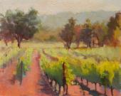 Napa Vineyards Napa Vineyards