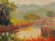 Marin Wetlands Marin Wetlands