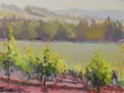 Kenwood Vines Kenwood Vines