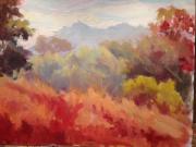 Mt. Tamalpais, Marin County Mt. Tamalpais, Marin County