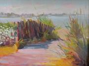 Sand Dunes Sand Dunes