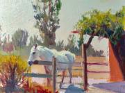 Nestled In NIcasio Nestled In NIcasio