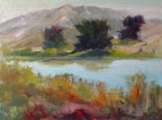 Black Trees of Nicasio Reservoir Black Trees of Nicasio Reservoir