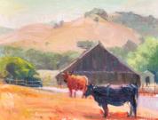 Life On The Farm, Nicasio Life On The Farm, Nicasio