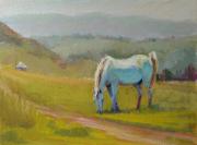 Top of the World in Marin Top of the World in Marin